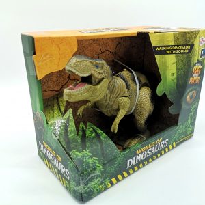 Dinosaur, tyrannosaurus rex, Ireland