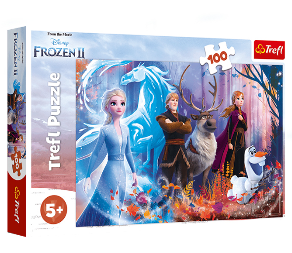 Trefl Disney Frozen Jigsaw Puzzle, Ireland