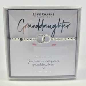 Life Charms Bracelet granddaughter, Jewellery, Gift, Ireland