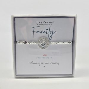 Life Charms Bracelet Family, Jewellery, Gift, Ireland
