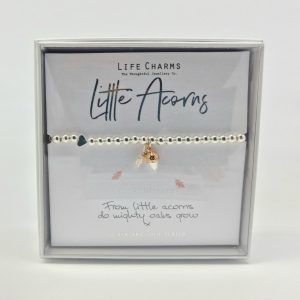 Life Charms Bracelet little acorns, Jewellery, Gift, Ireland